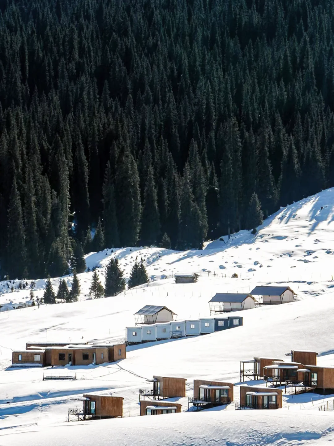 冬天去新疆玩该怎么选景点|伊犁or阿勒泰