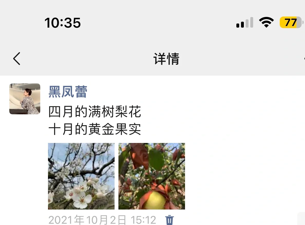 山西自家种的酥梨真的没人买吗