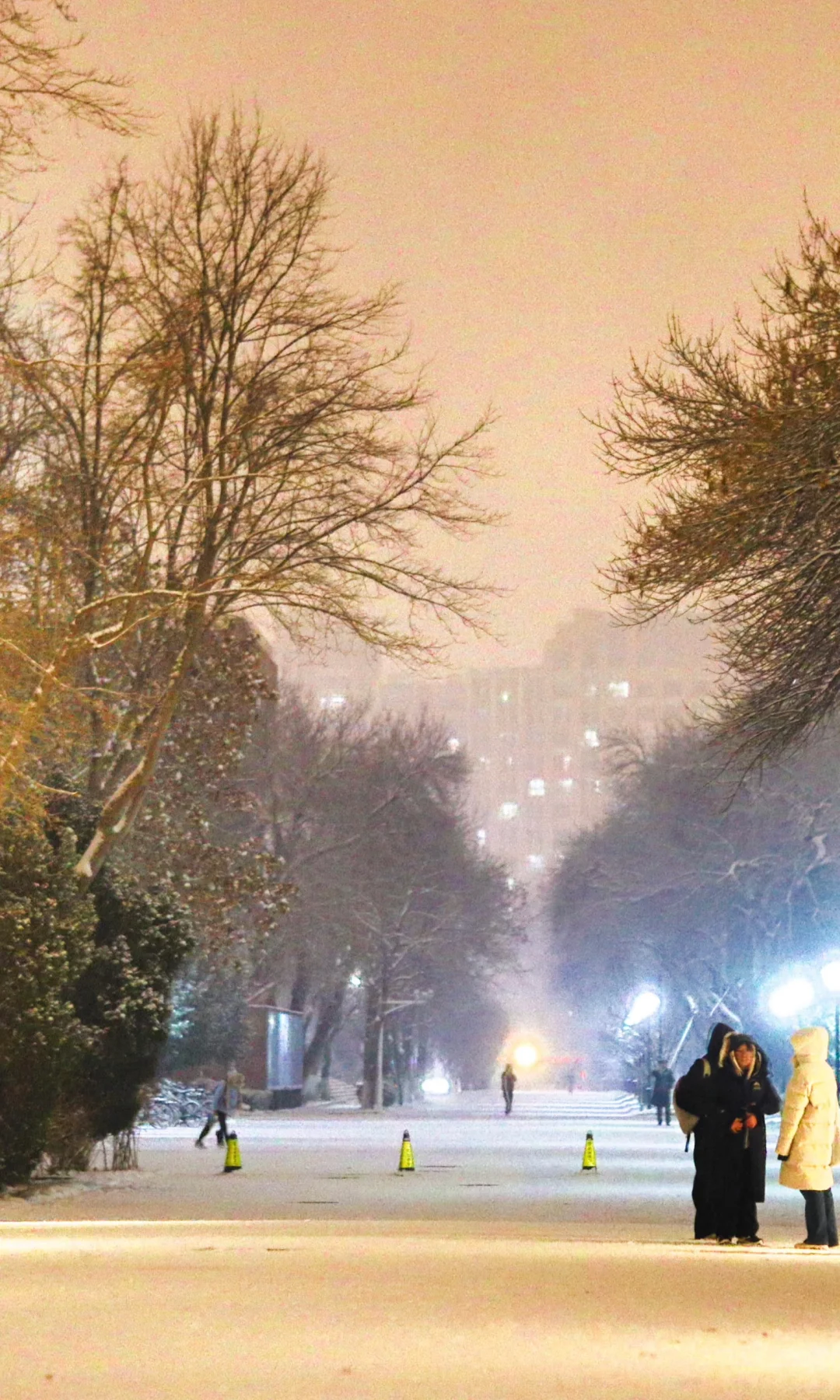 林子好像一个微缩模型