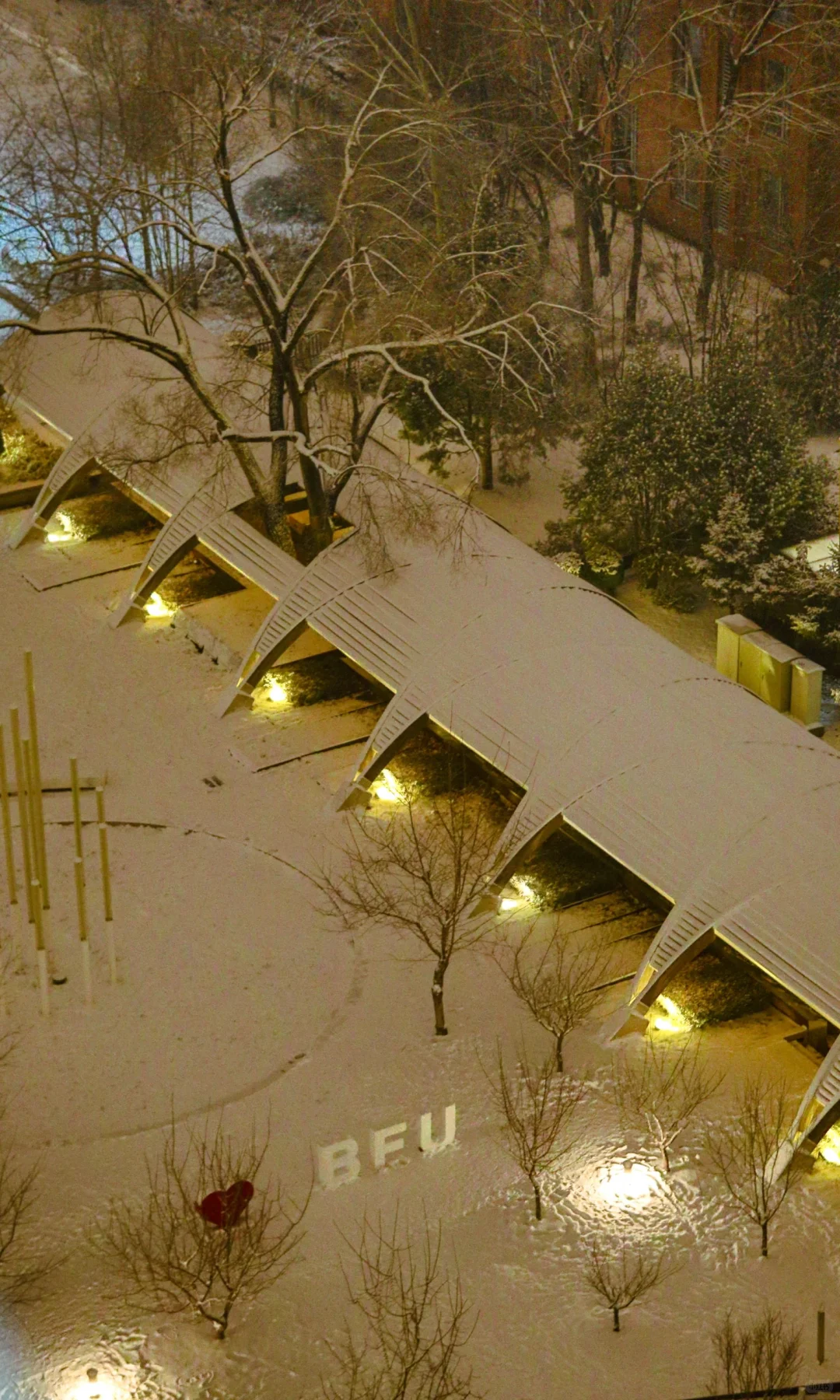 林子好像一个微缩模型