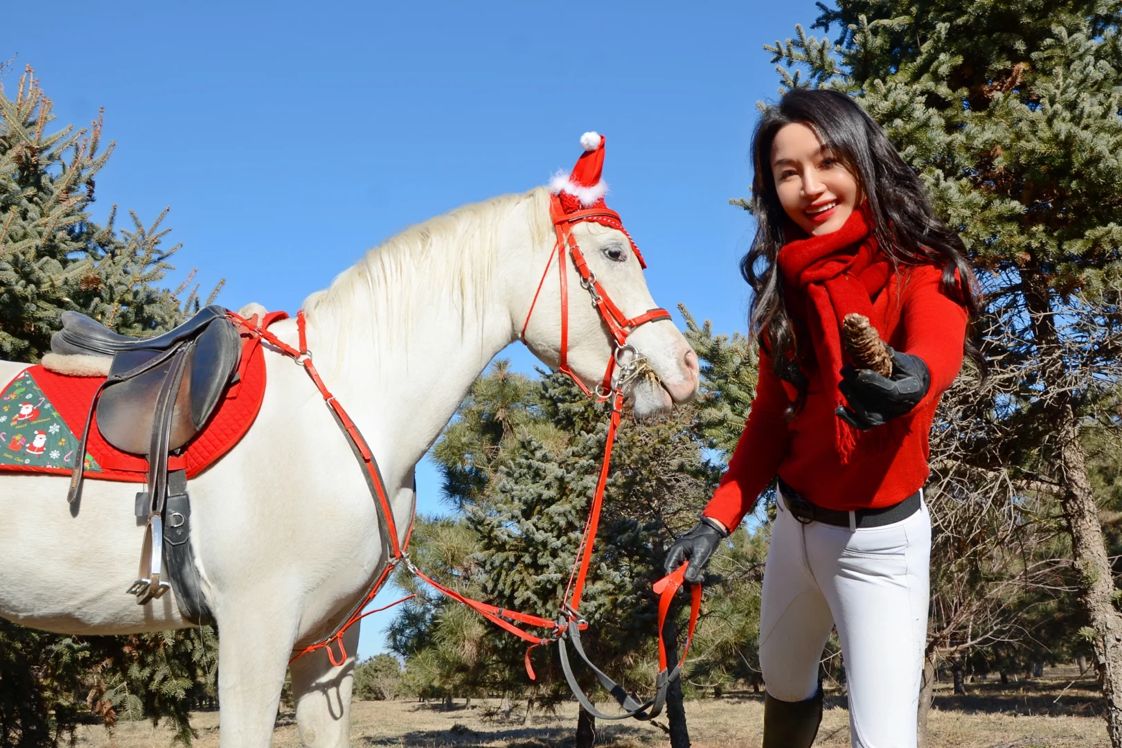 圣诞马术写真?｜圣诞快乐
