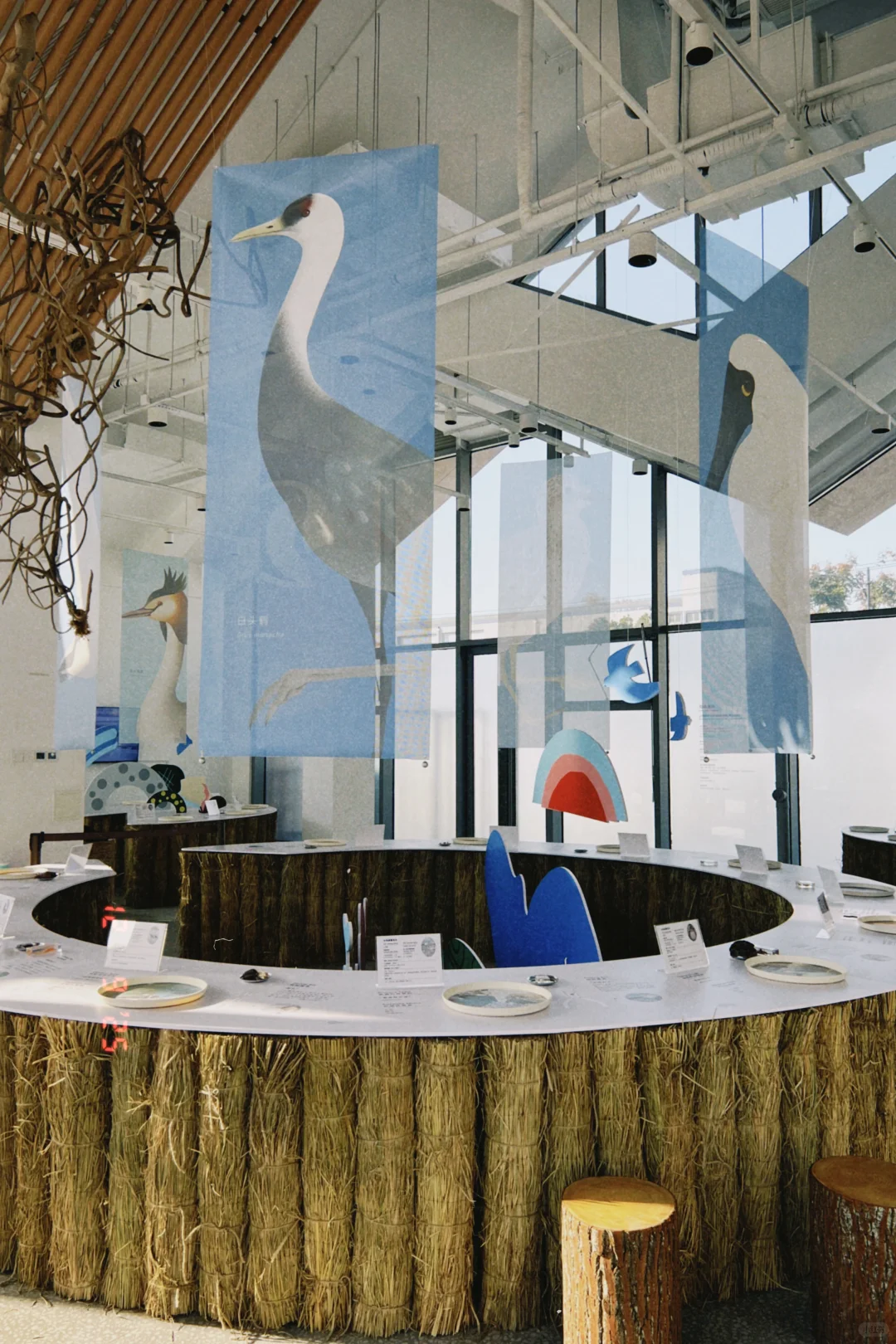 鸟鸟派对｜ 科普展