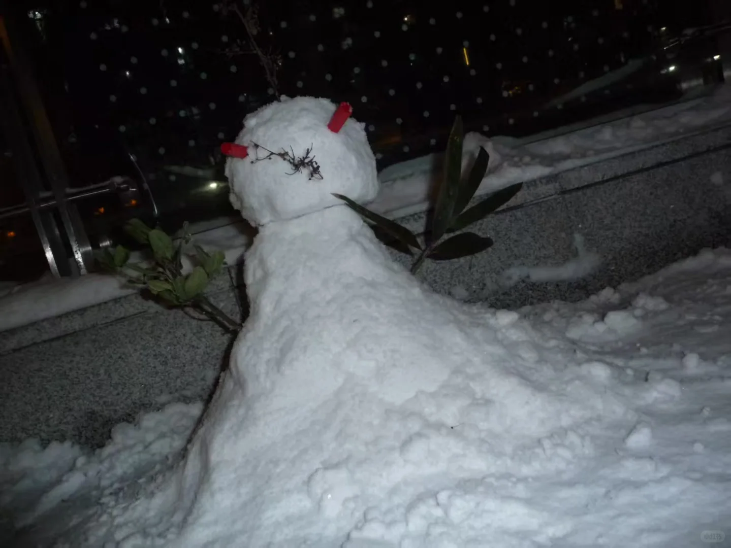 北京林业大雪⛄大赏，堆雪人大赛优等奖?