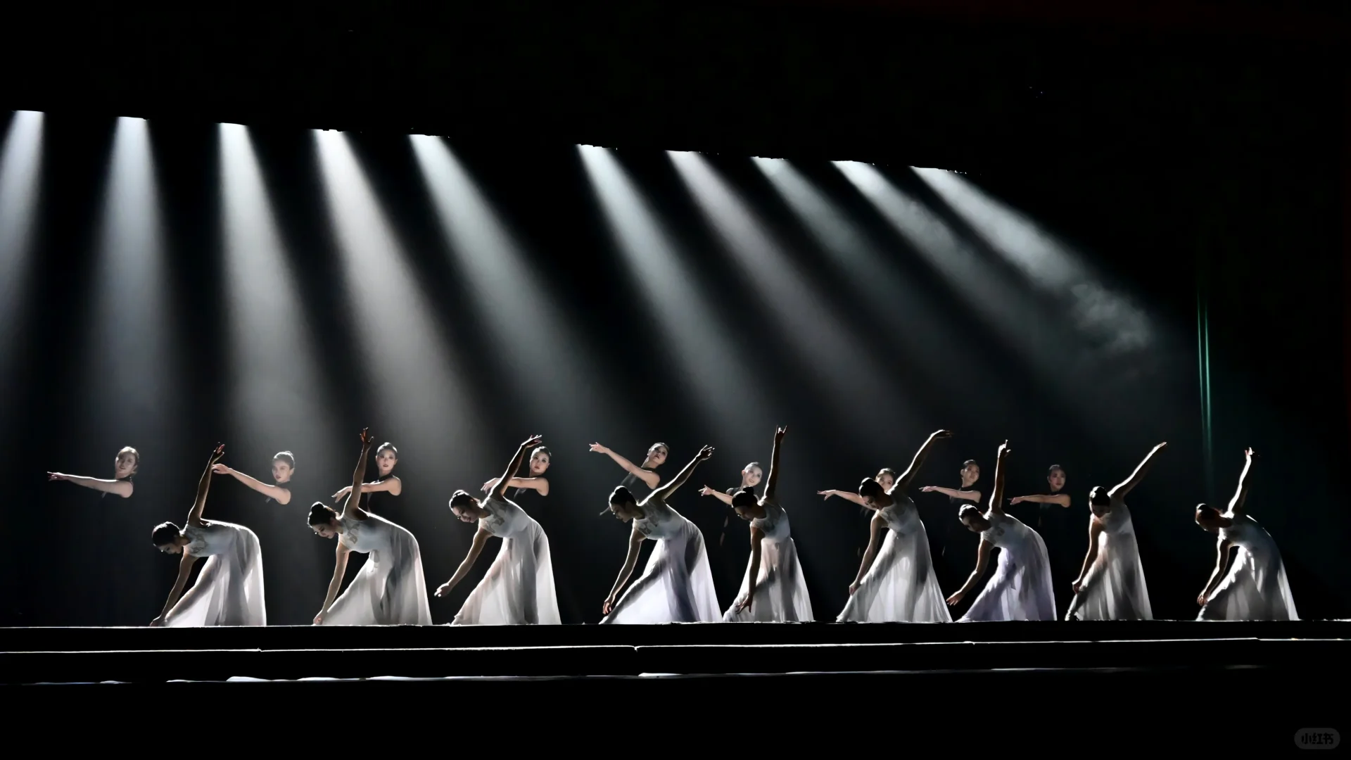 北林舞蹈团三十周年专场