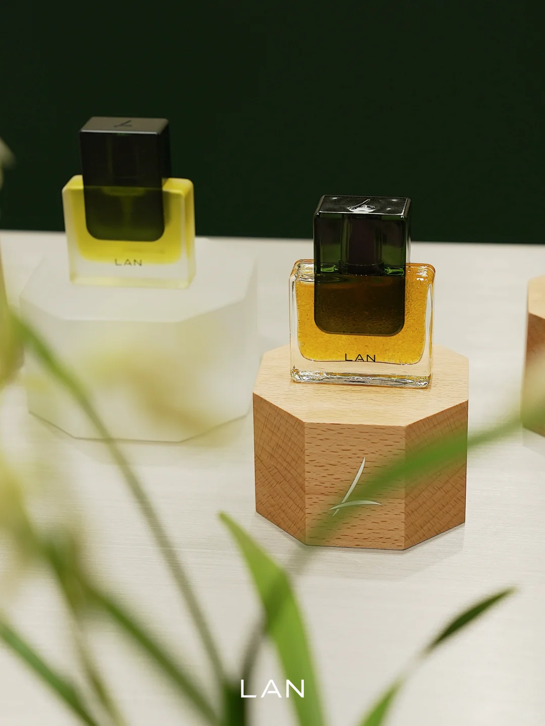 美护上海 | LAN栖沪境展陈已落 欢迎你来！