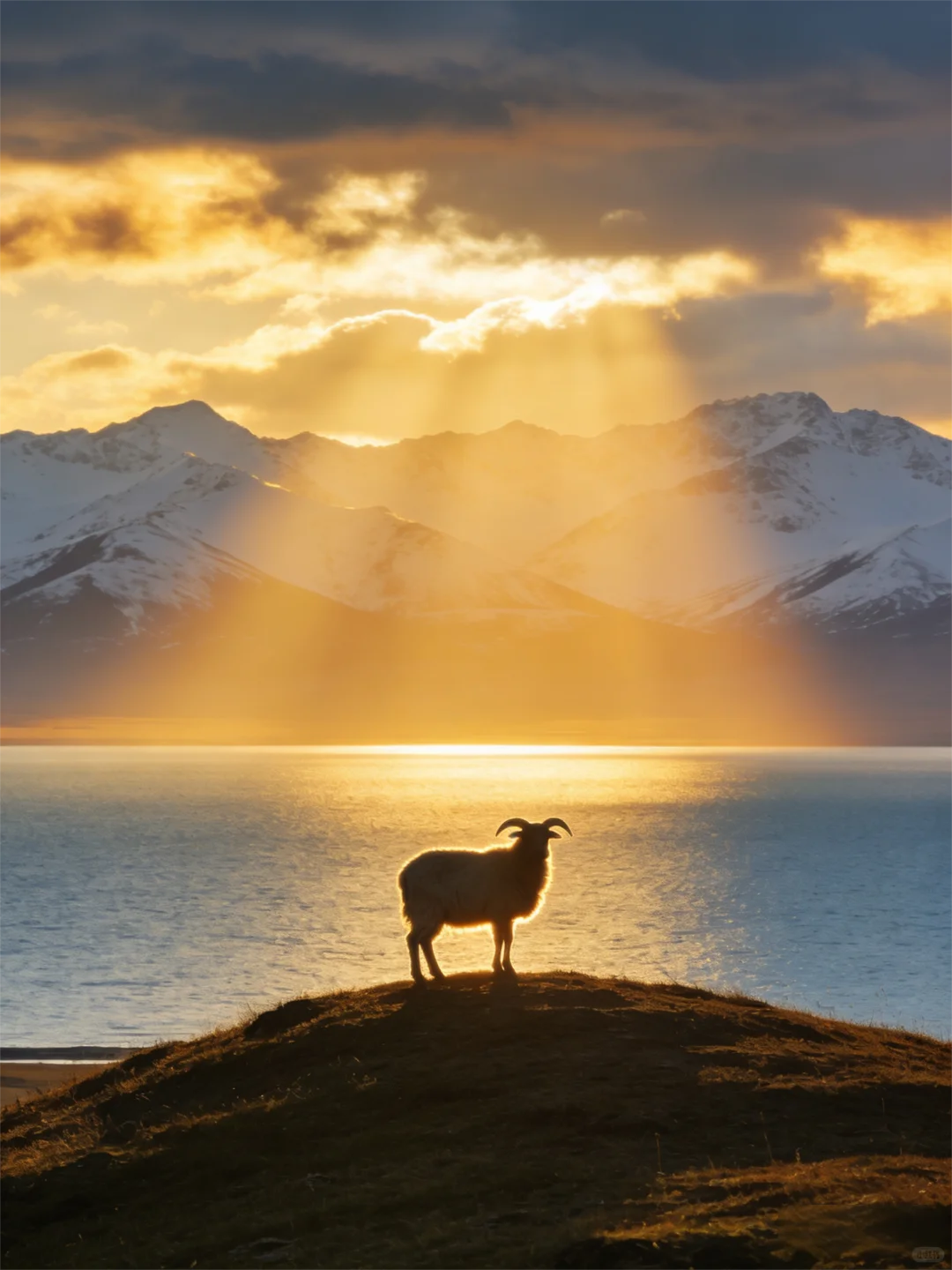 致前行者：草原有诺，后方可依