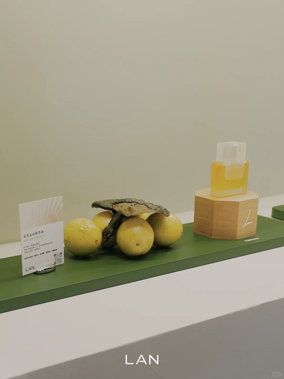 美护上海 | LAN栖沪境展陈已落 欢迎你来！