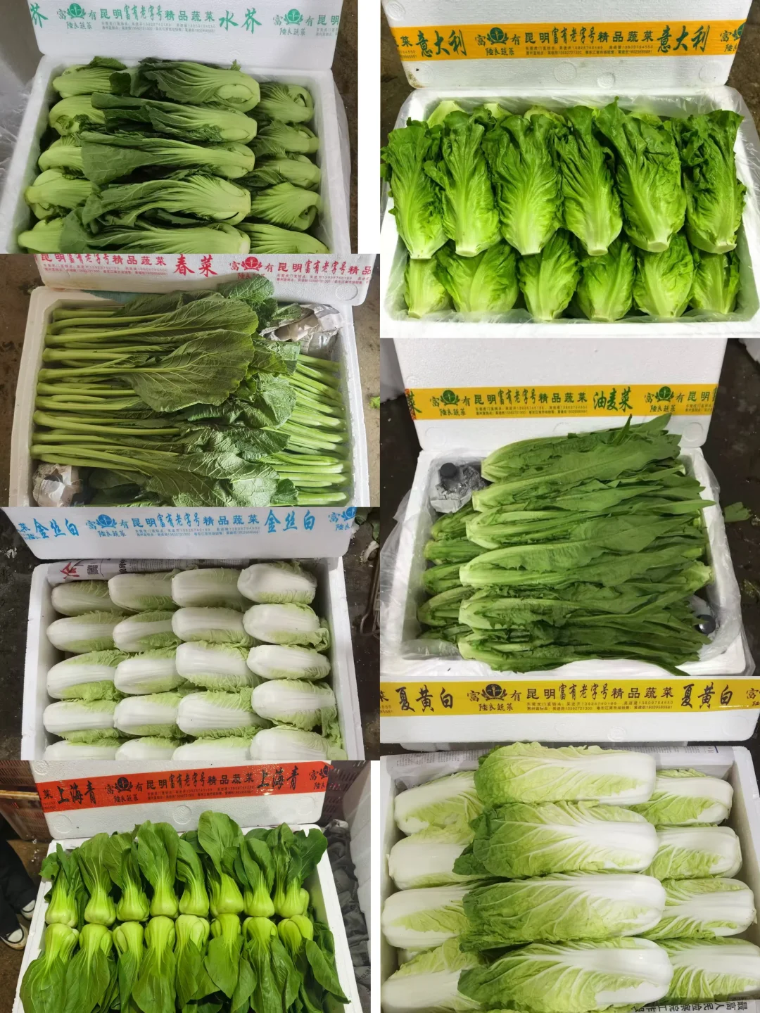 云南富有老字号