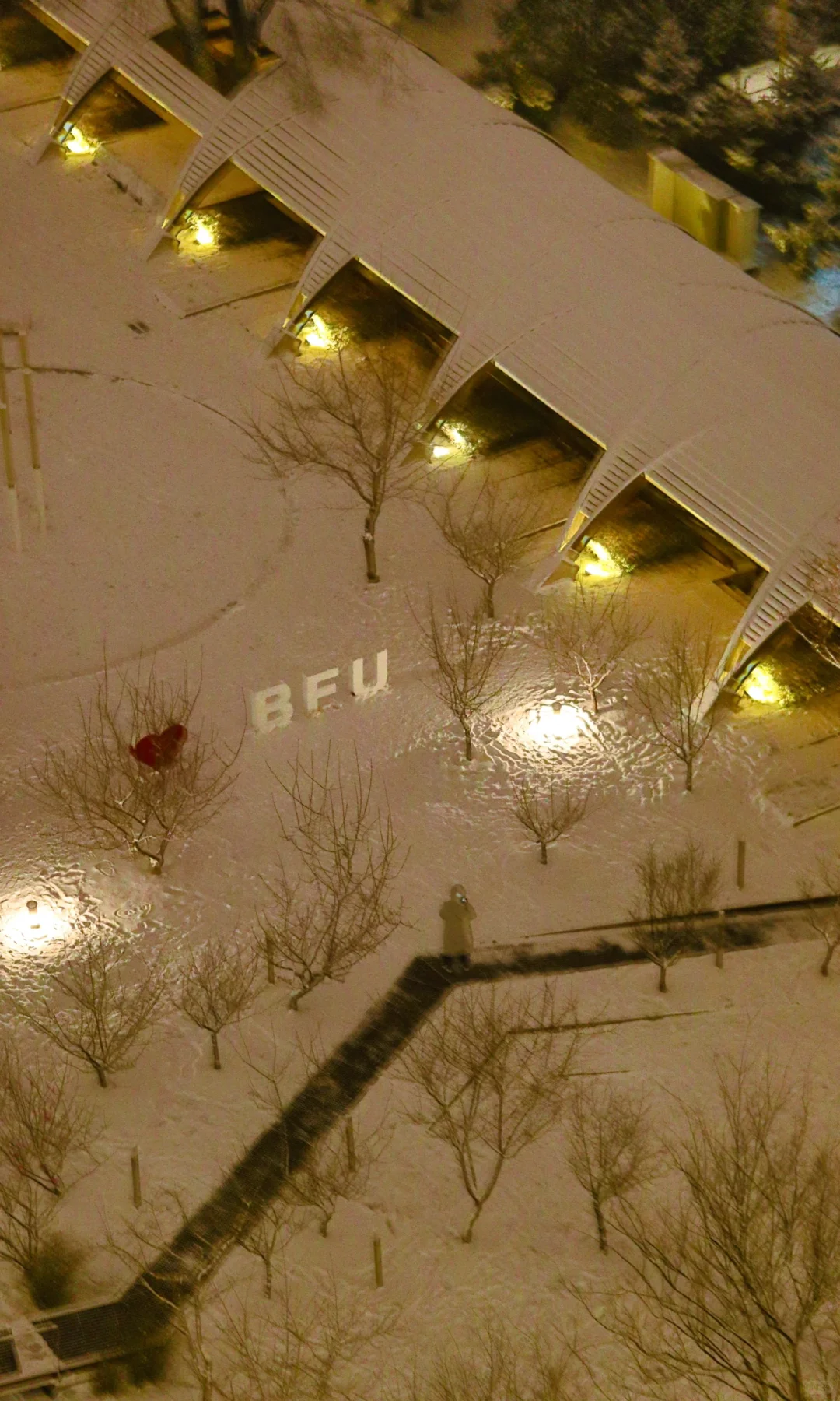 林子好像一个微缩模型