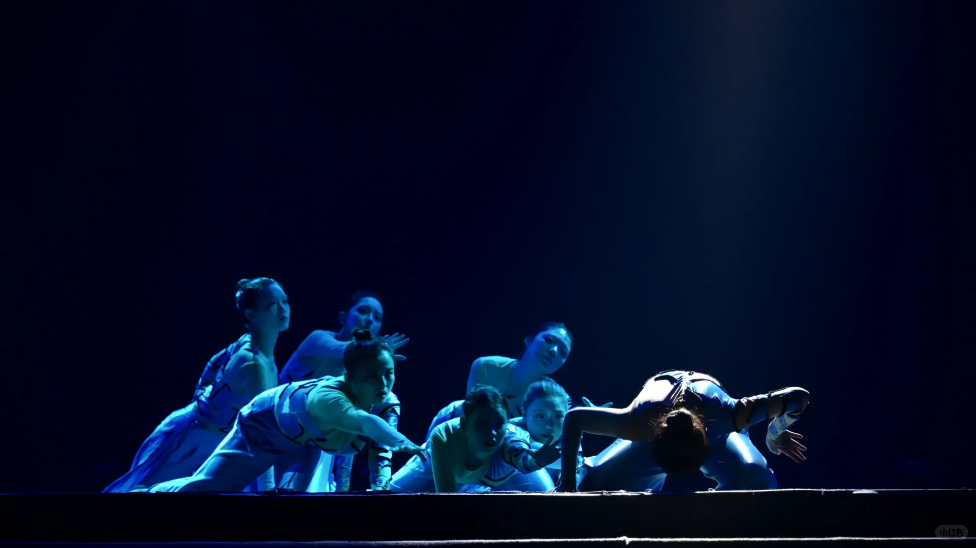 北林舞蹈团三十周年专场