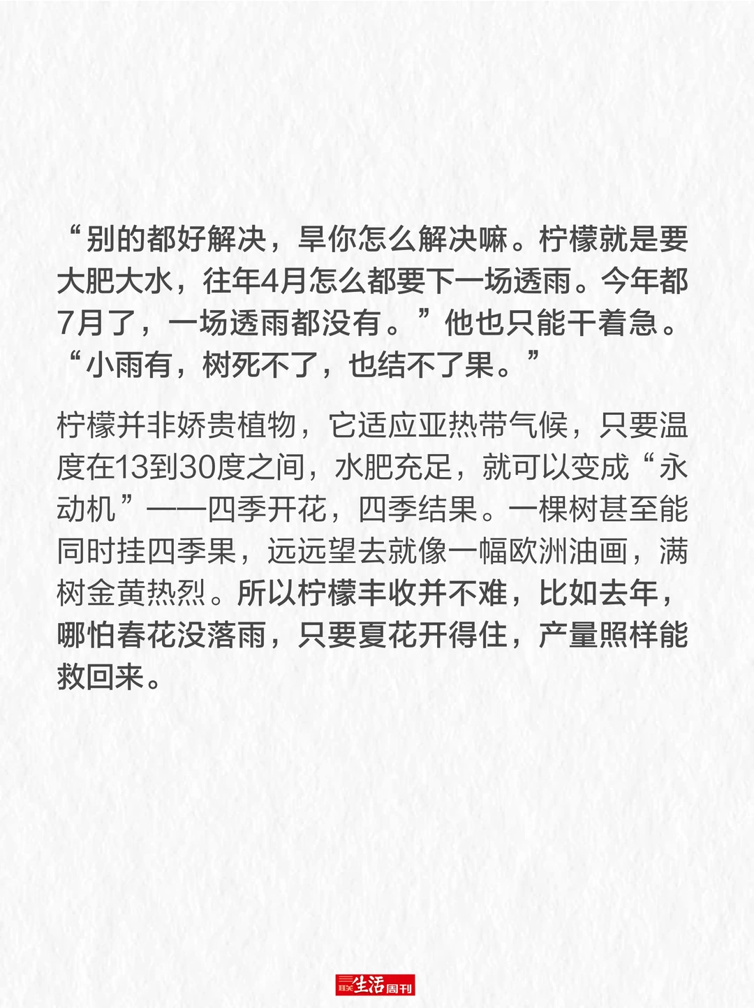 柠檬价格暴涨,我们要失去柠檬水自由了吗?
