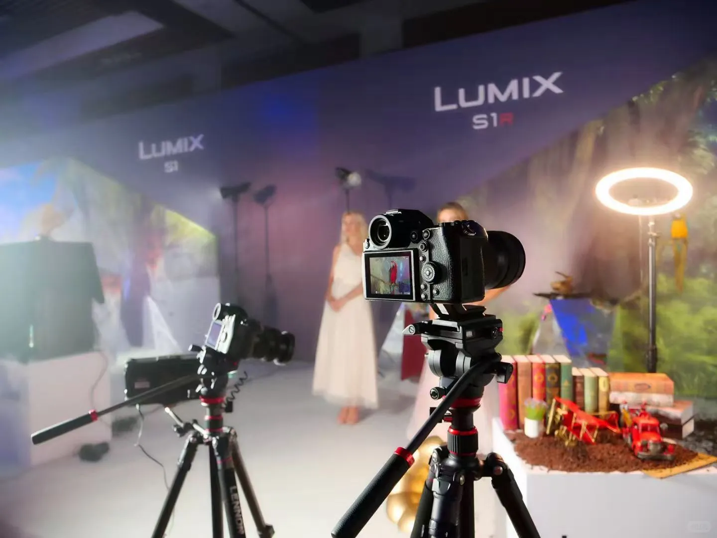 辽阳本地图片摄影+摇臂导播+会议跟拍