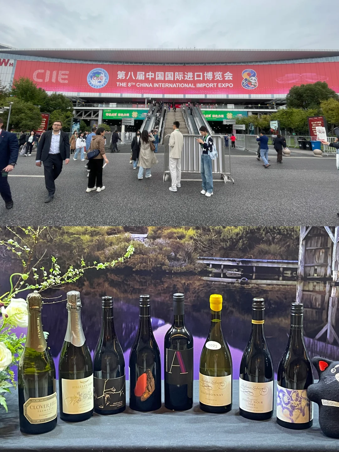 葡睿2025进博会 打卡塔州和南澳美酒