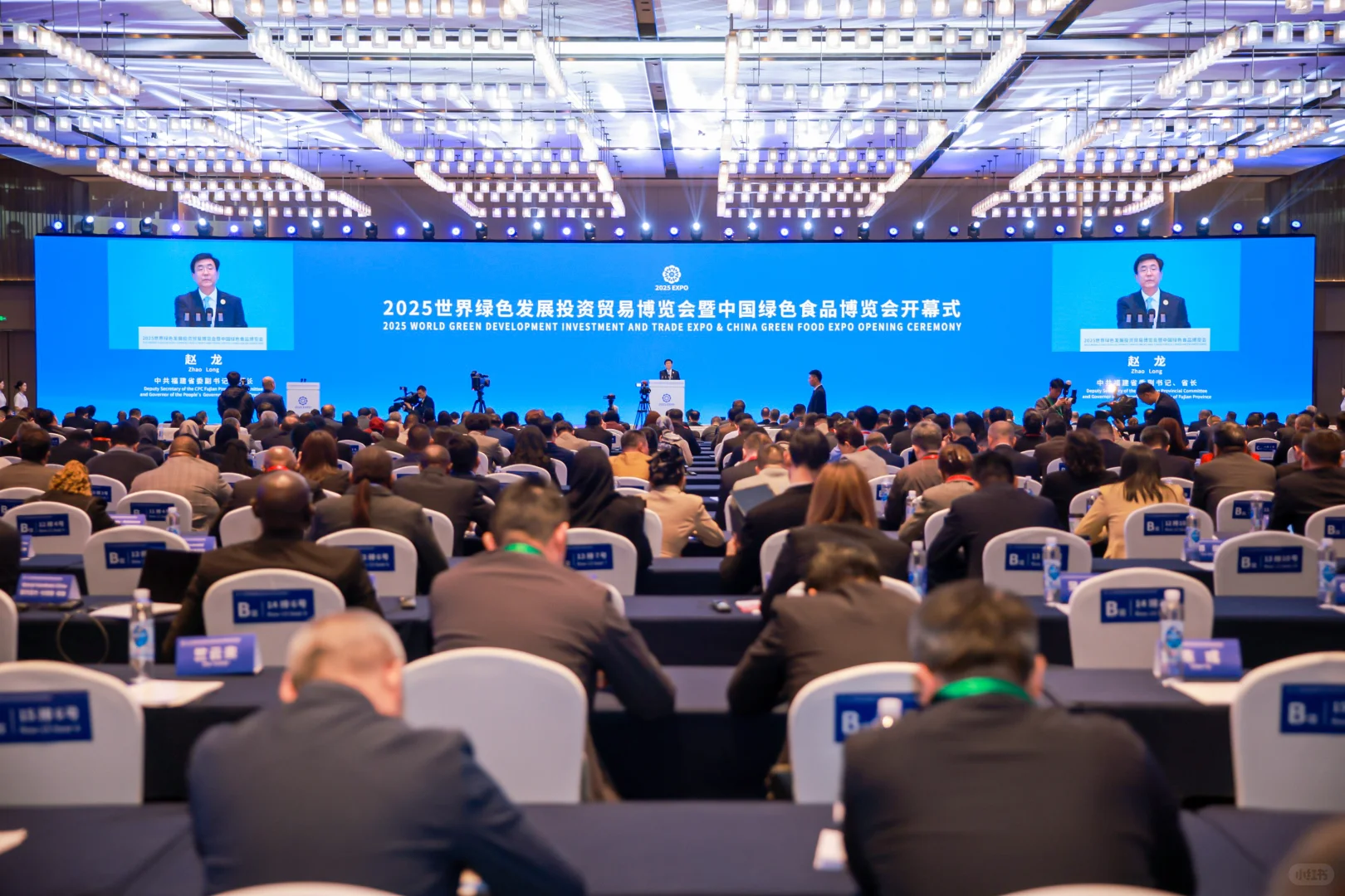 高端政务会议拍摄（照片直播）