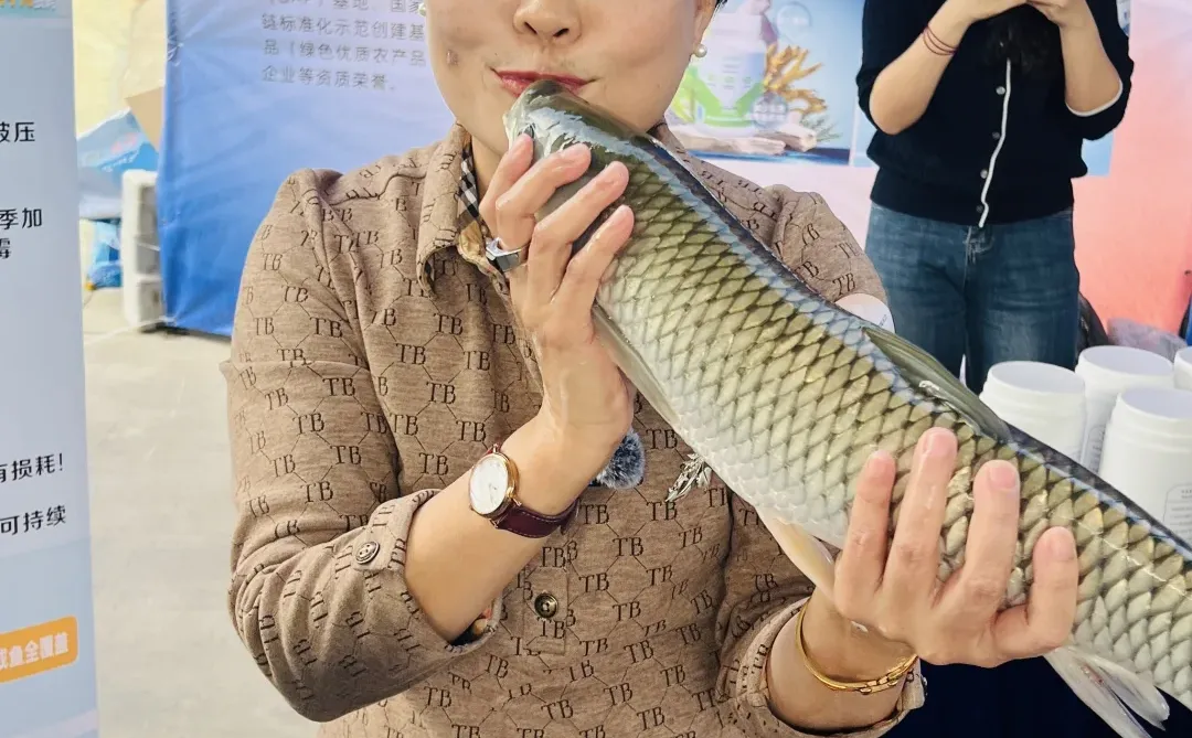 扬帆起航&踏浪前行??