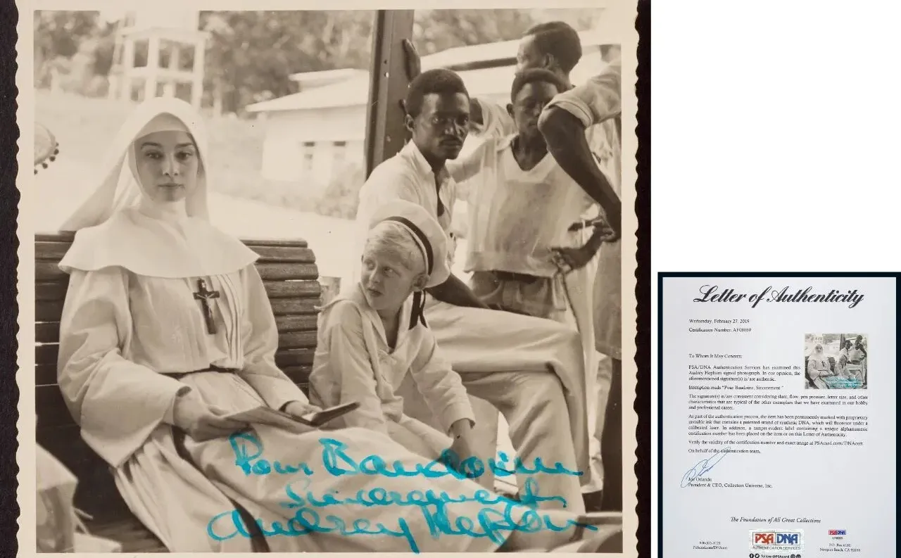 第二阶段预展来啦!限时招募40位看展达人