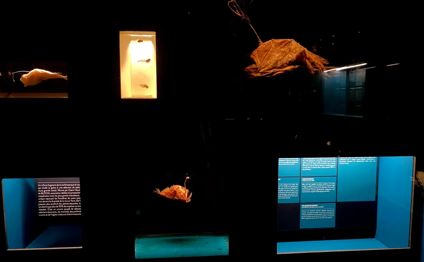 巴黎?新展?百年百货的设计装饰变迁史