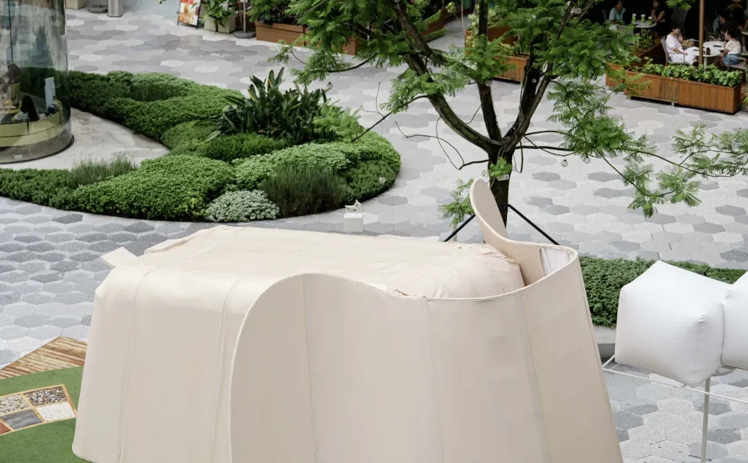 吹泡泡的大象，邀你打卡自然乐园