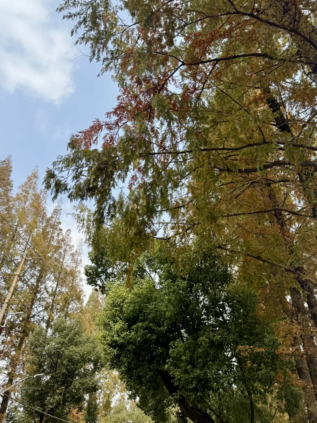 杨浦旅超|工业风+敦煌展,周末就这样安排!