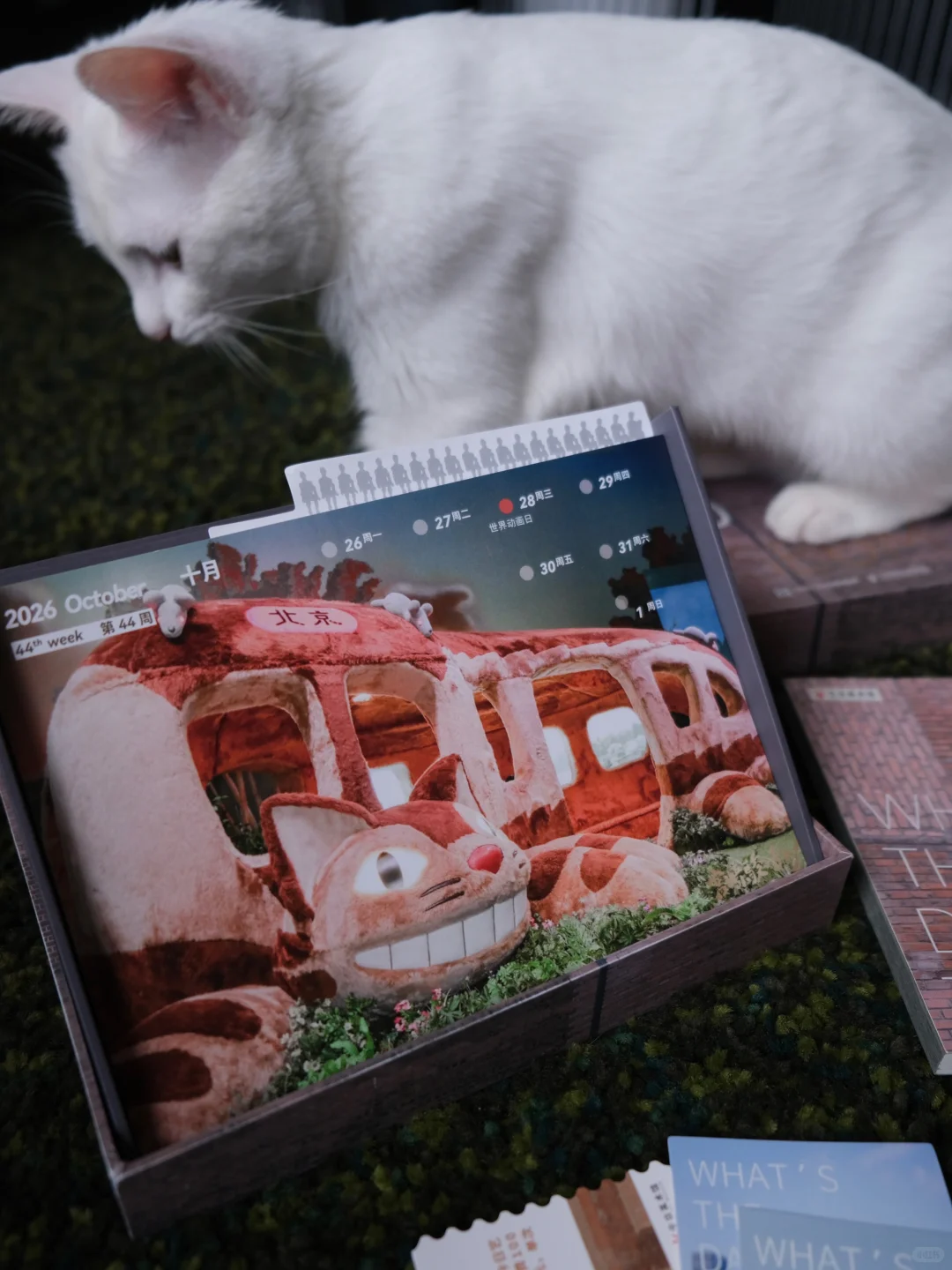 买周历就能白嫖美术馆门票❗这羊毛你不薅？