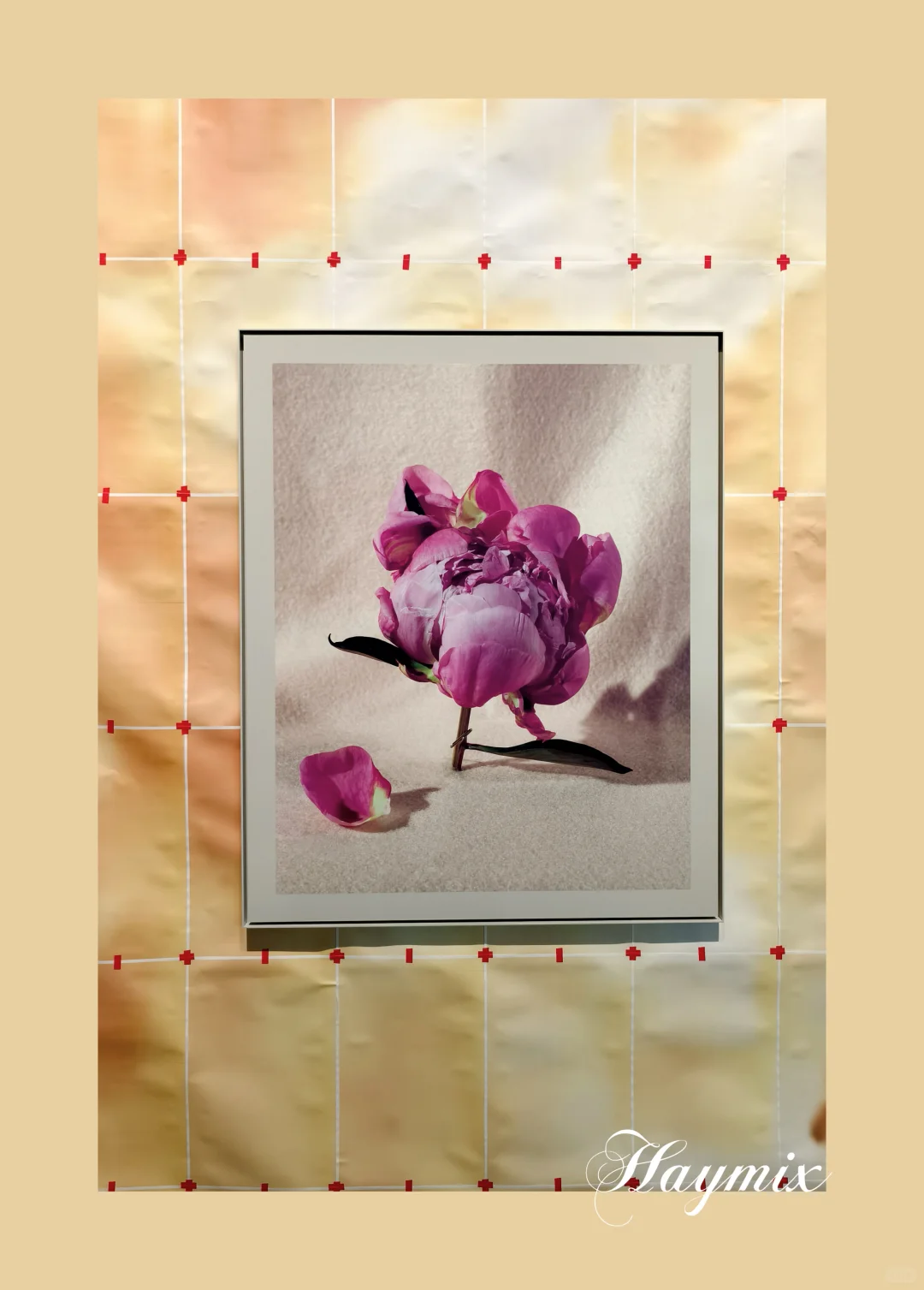 上海看展—第十五届上海双年展花儿听到蜜蜂