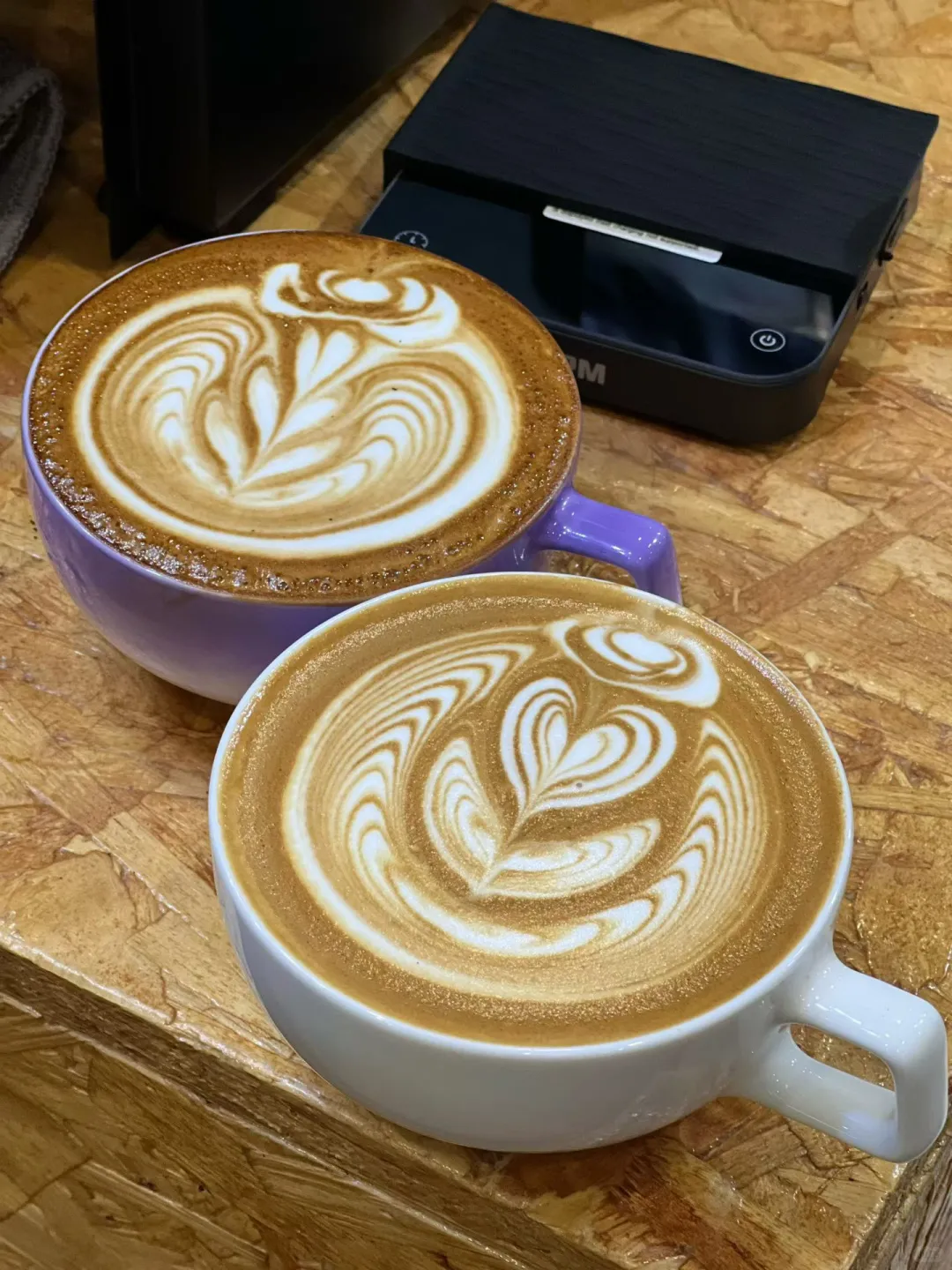 深圳咖啡展,腿已经不是我自己的了