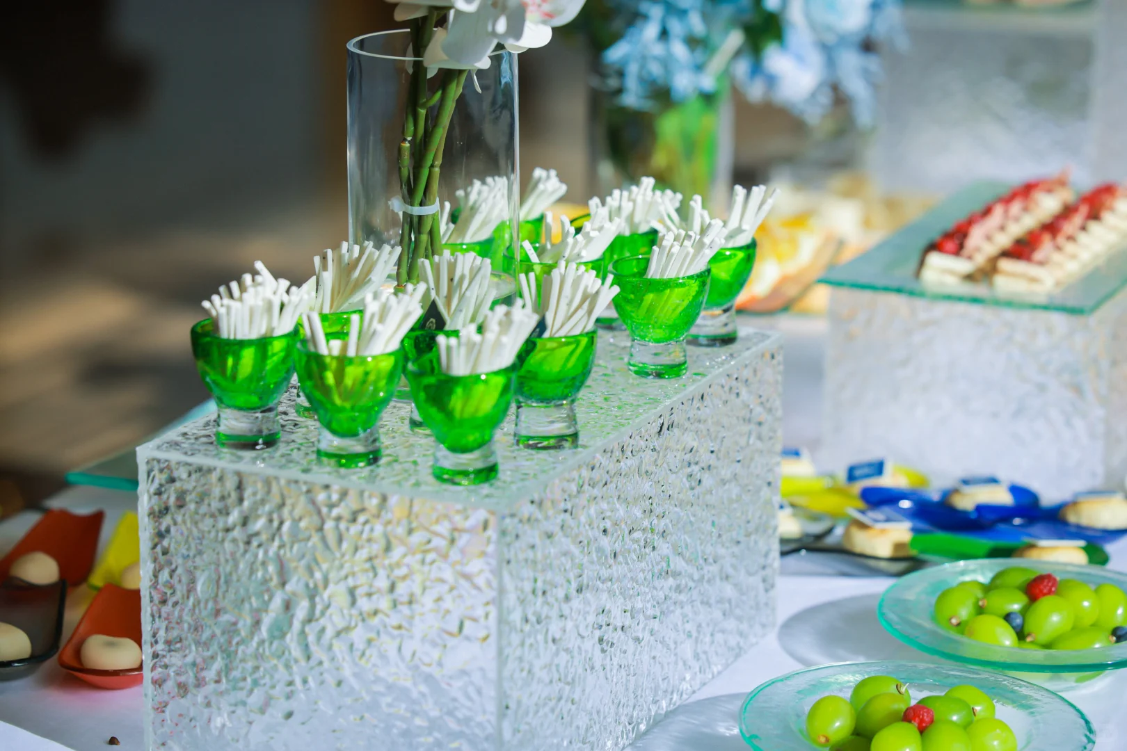 高端政务会议拍摄（照片直播）