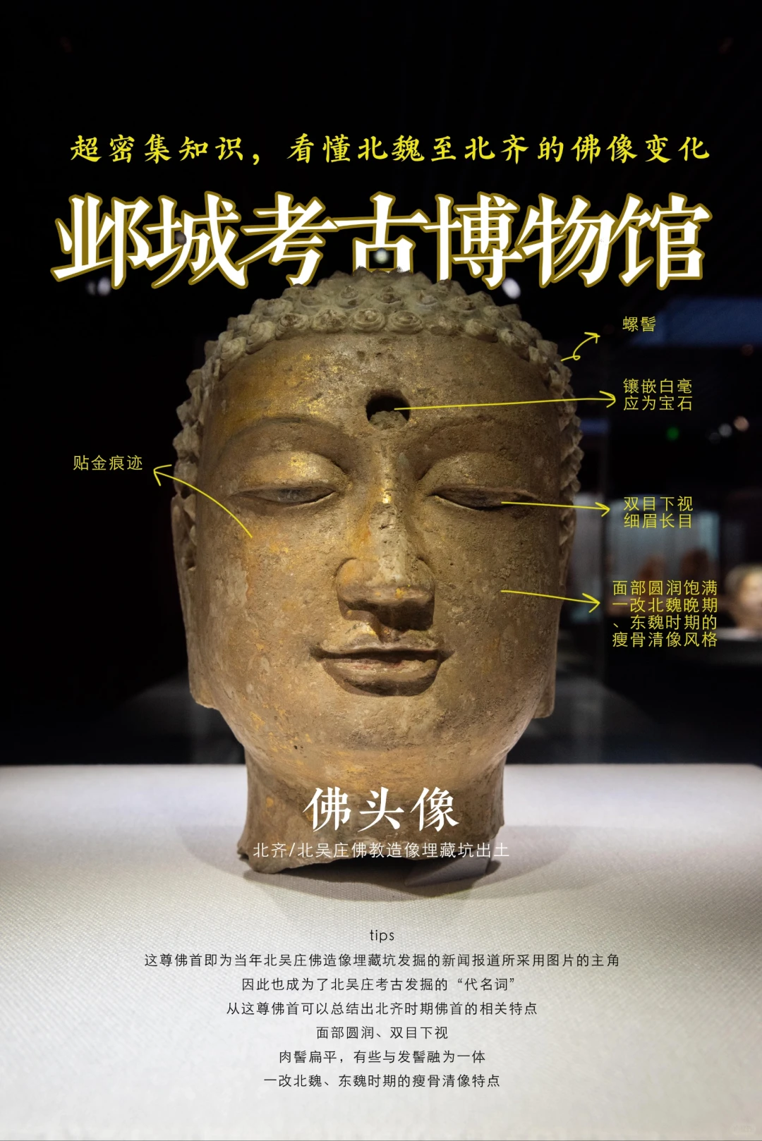 看图说话,总能教会你怎么看懂北朝佛像了吧