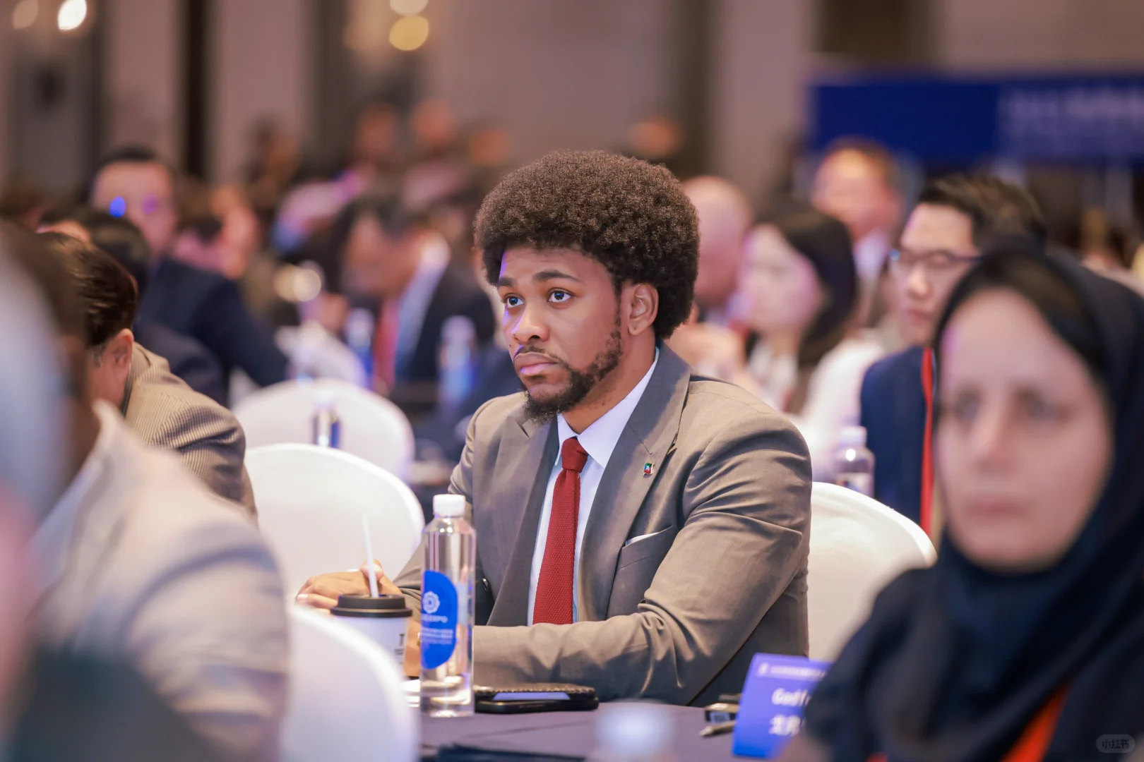 高端政务会议拍摄（照片直播）