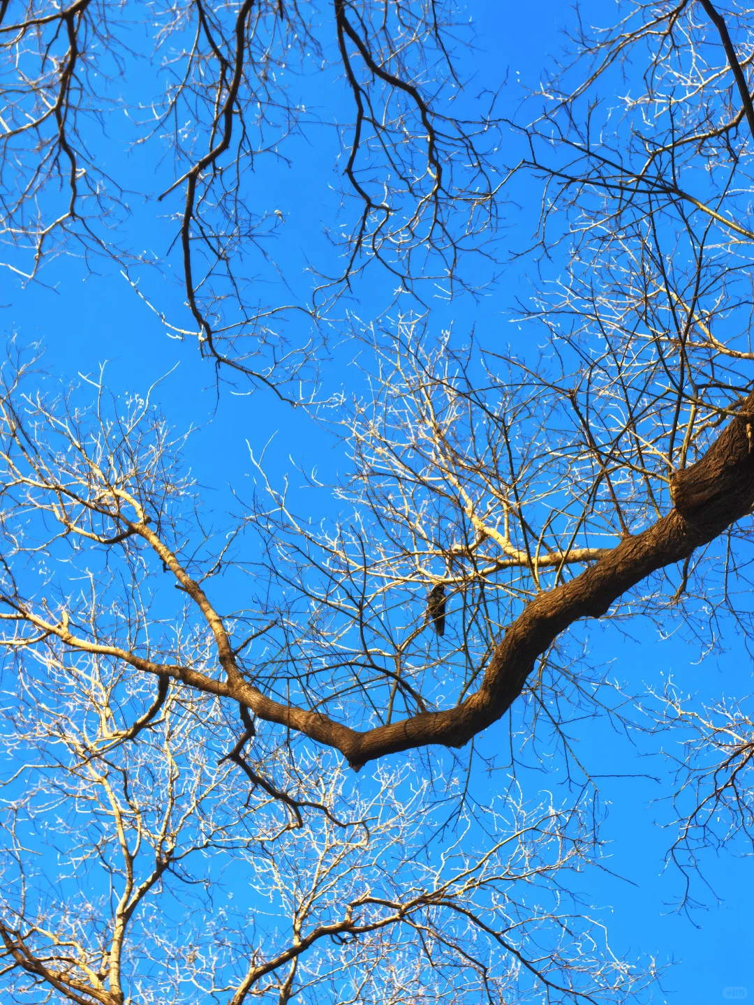 晒到了北纬39°的阳光