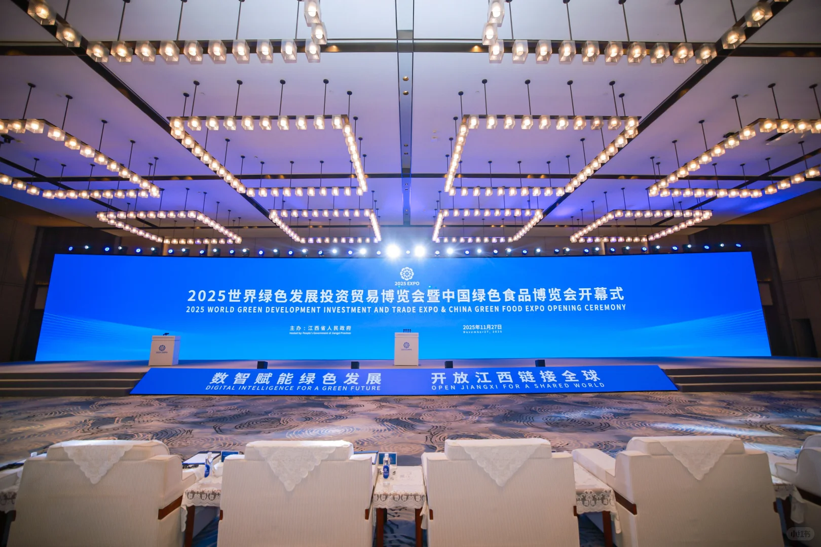 高端政务会议拍摄（照片直播）