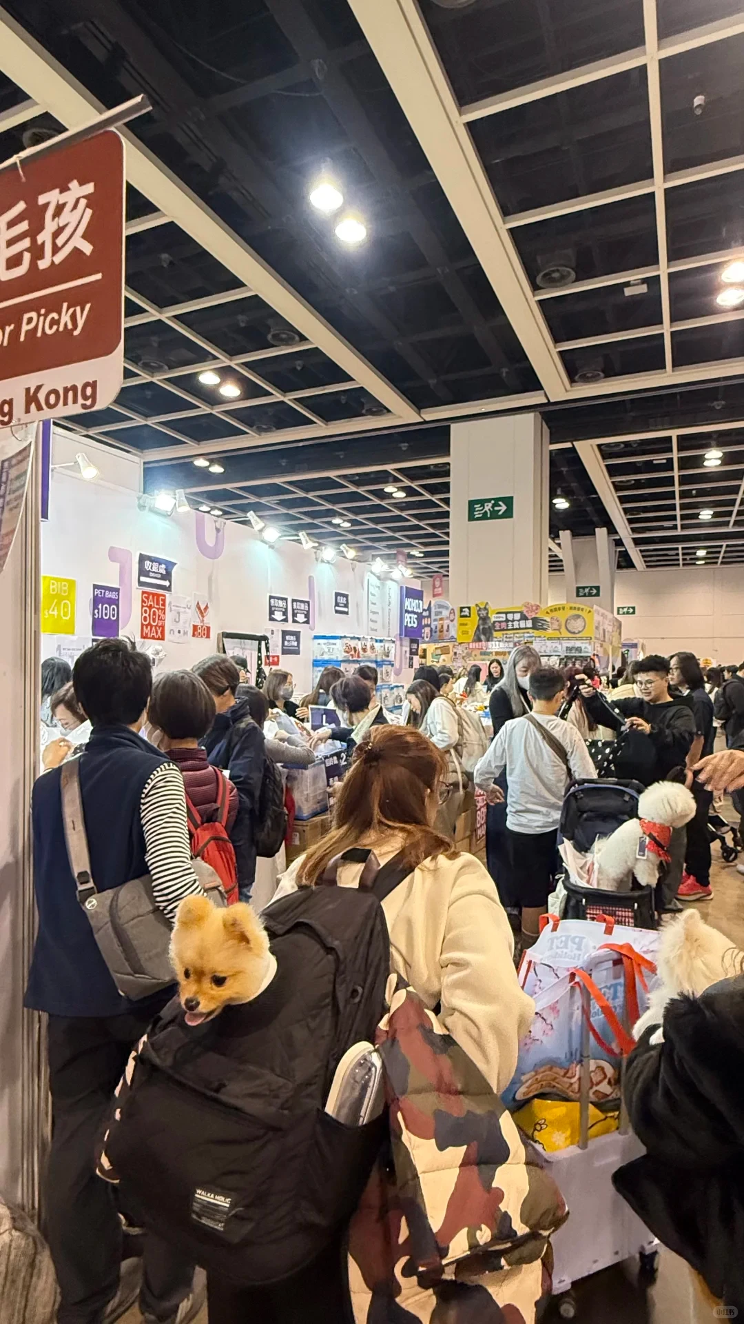 ⭐宠物行业人必看!境外参展保姆级攻略❗️