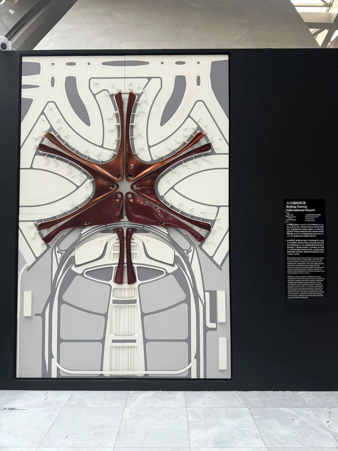 深圳新展｜扎哈·哈迪德｜线条与结构的狂想！