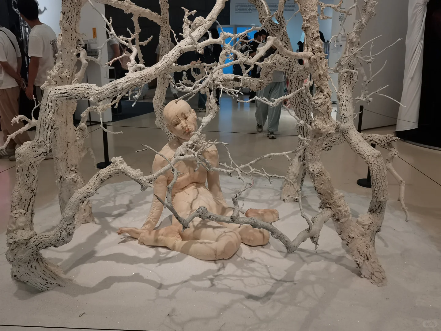 求助2025届央美毕业展