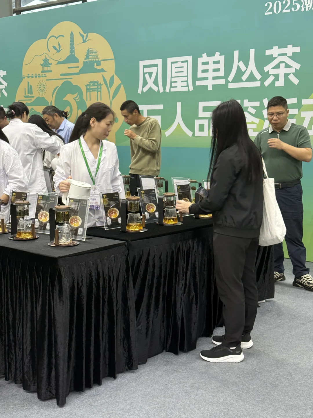 一小时逛茶博会