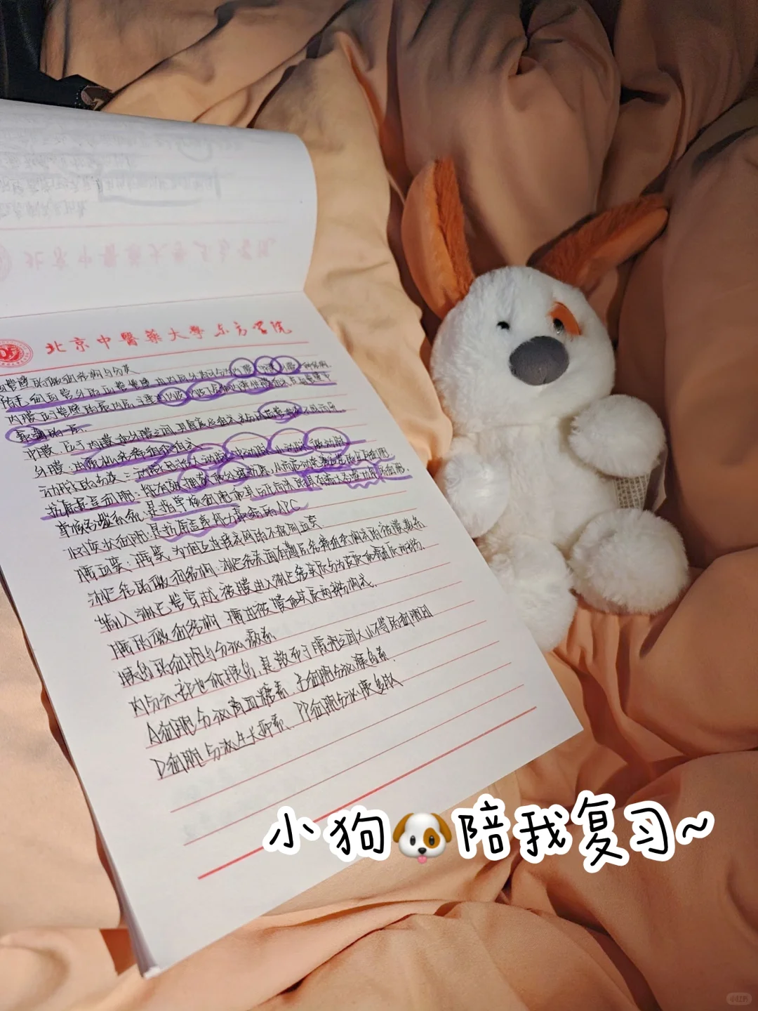 大学生课余搞外贸｜帮家里省了参展费