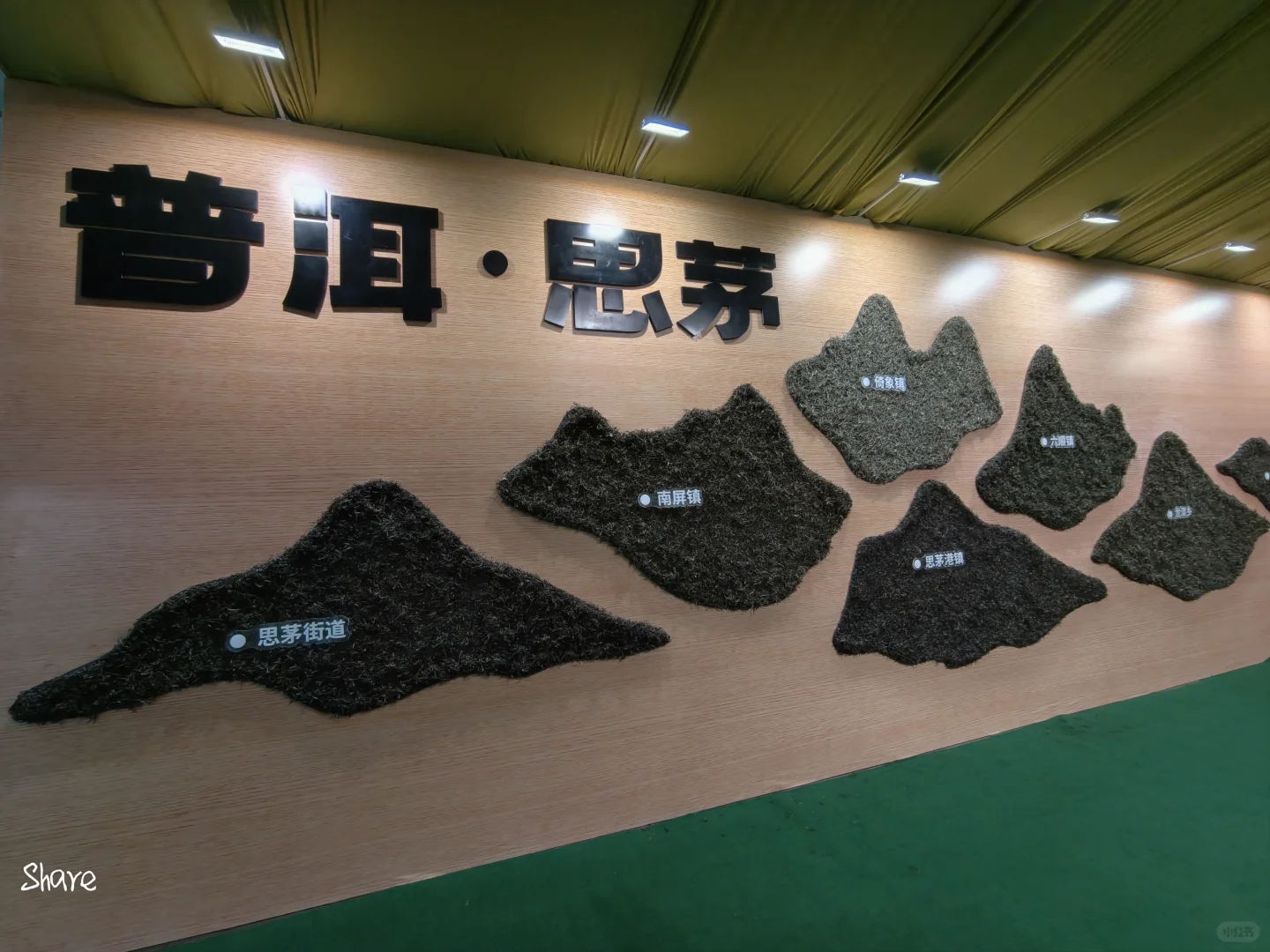 我在普洱喝咖啡