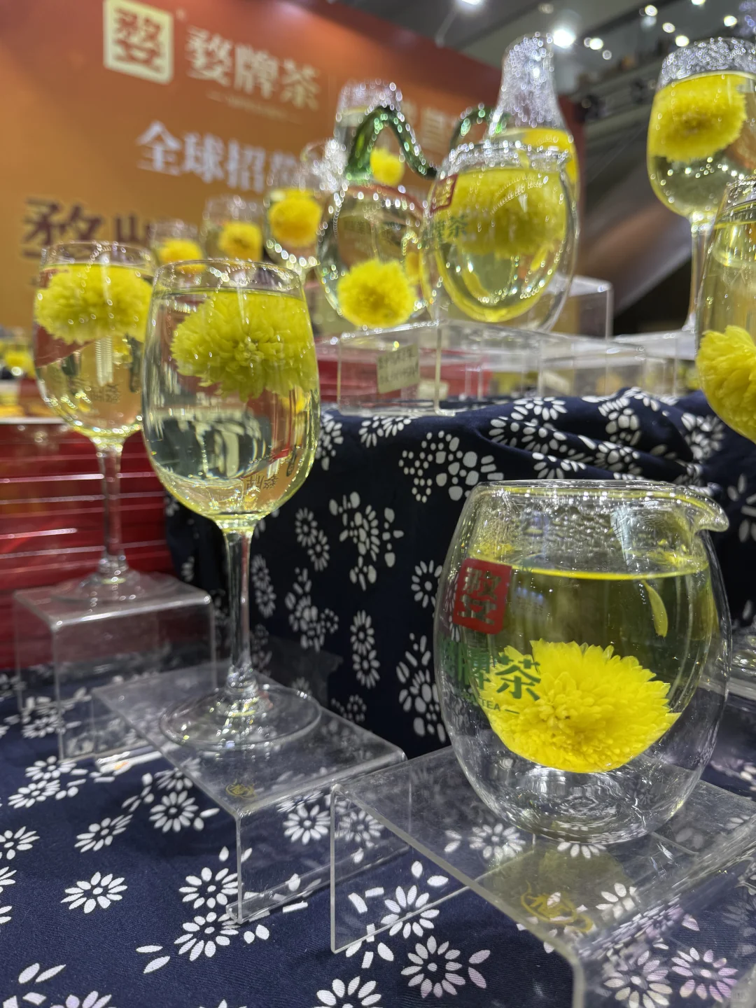 一小时逛茶博会