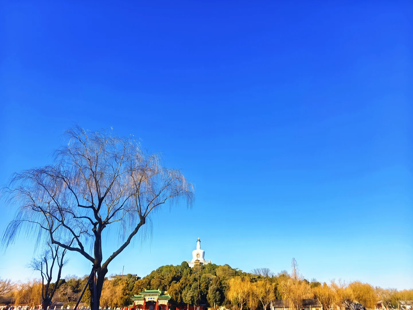 晒到了北纬39°的阳光