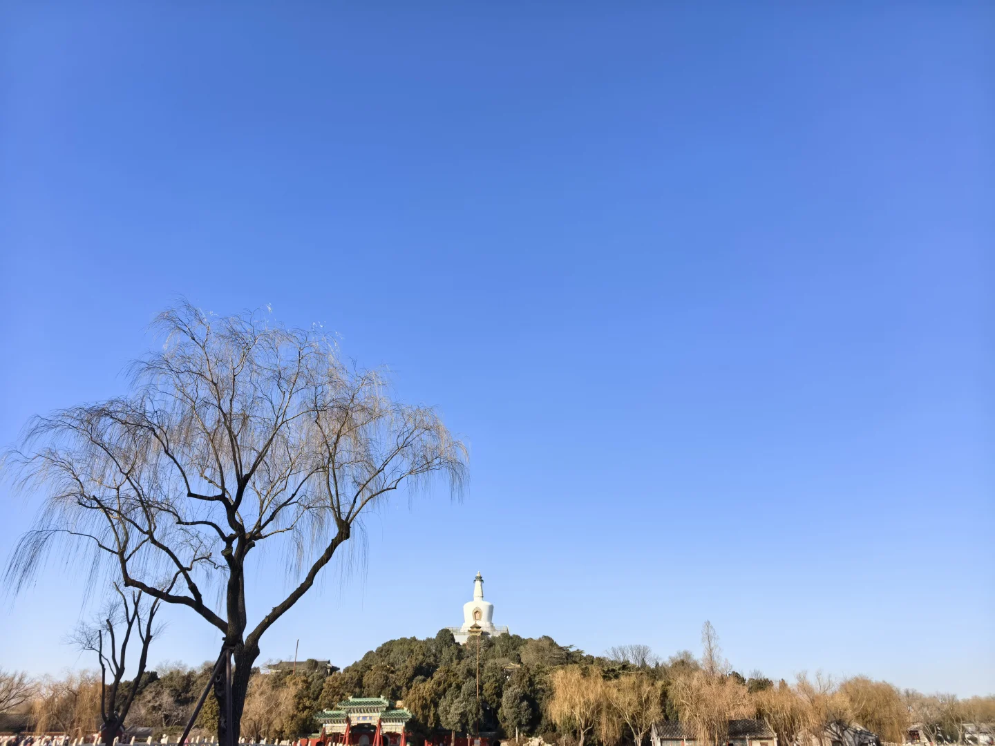 晒到了北纬39°的阳光