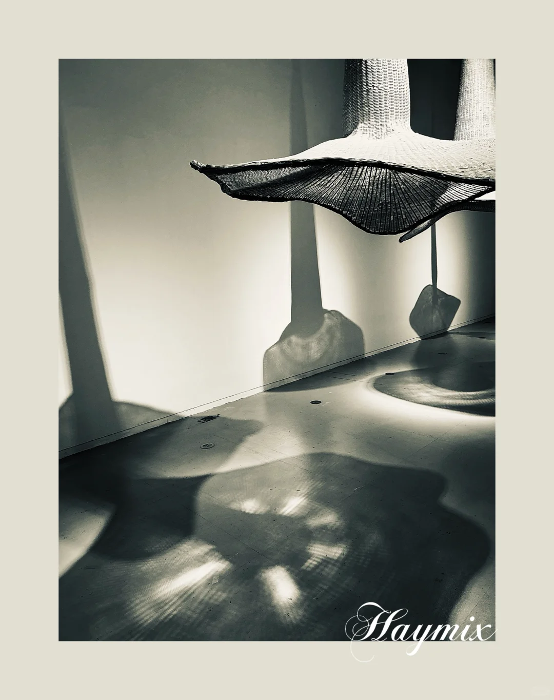 上海看展—第十五届上海双年展花儿听到蜜蜂