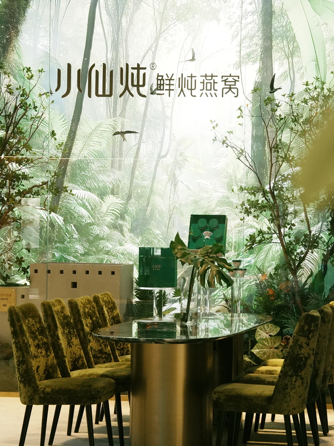 小仙炖「雨林珍宝」空降西安啦！速来打卡