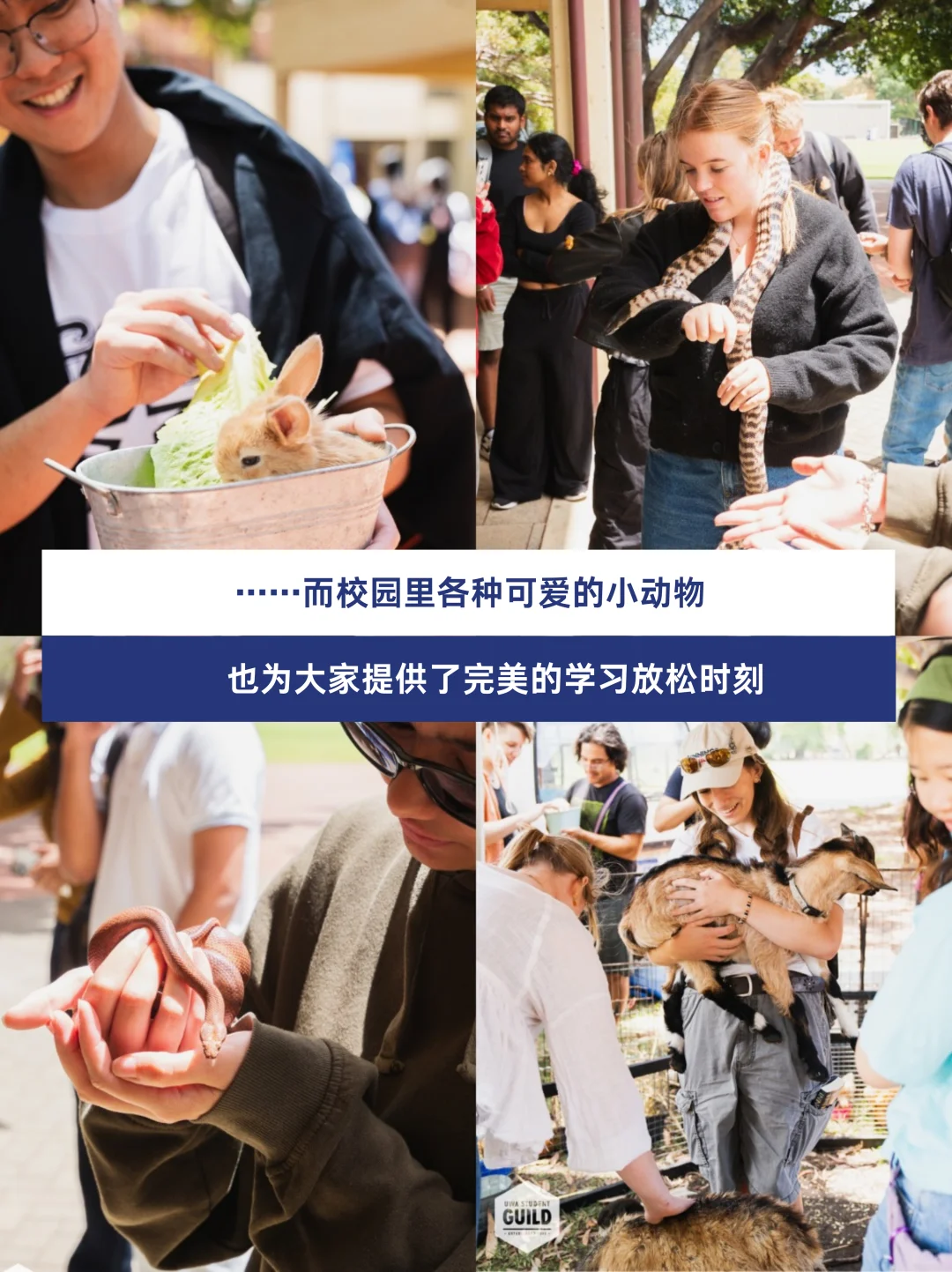 叮咚，更新啦！11月西澳大学校园精彩事件