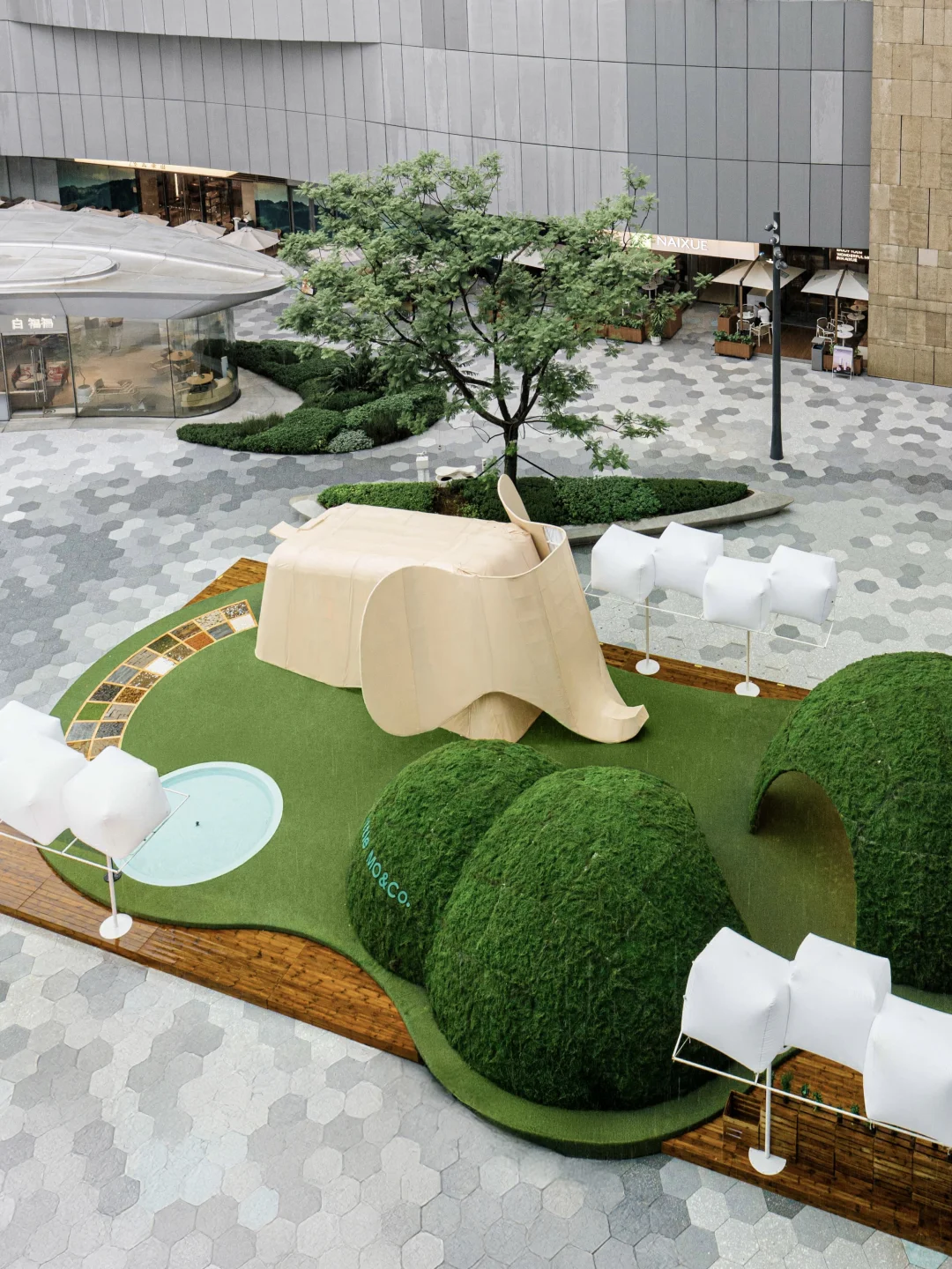 吹泡泡的大象，邀你打卡自然乐园