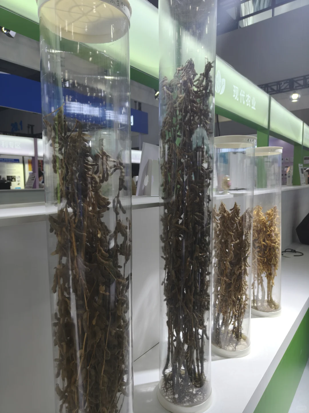 琶洲广交会展馆| 科交会