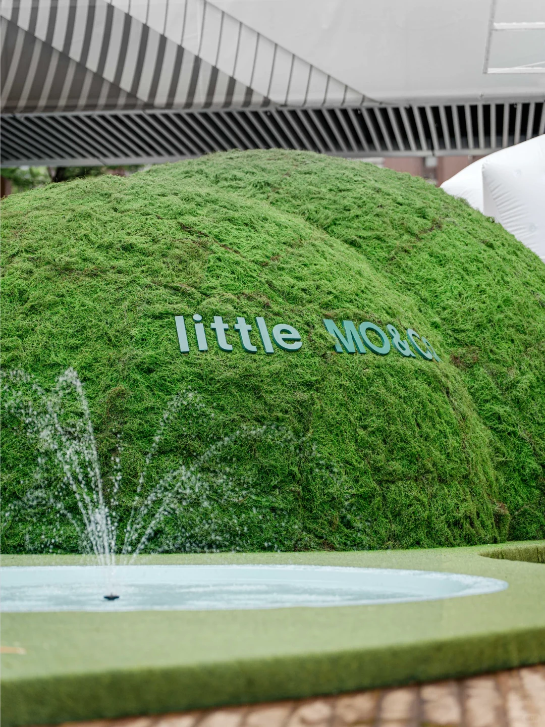 吹泡泡的大象，邀你打卡自然乐园