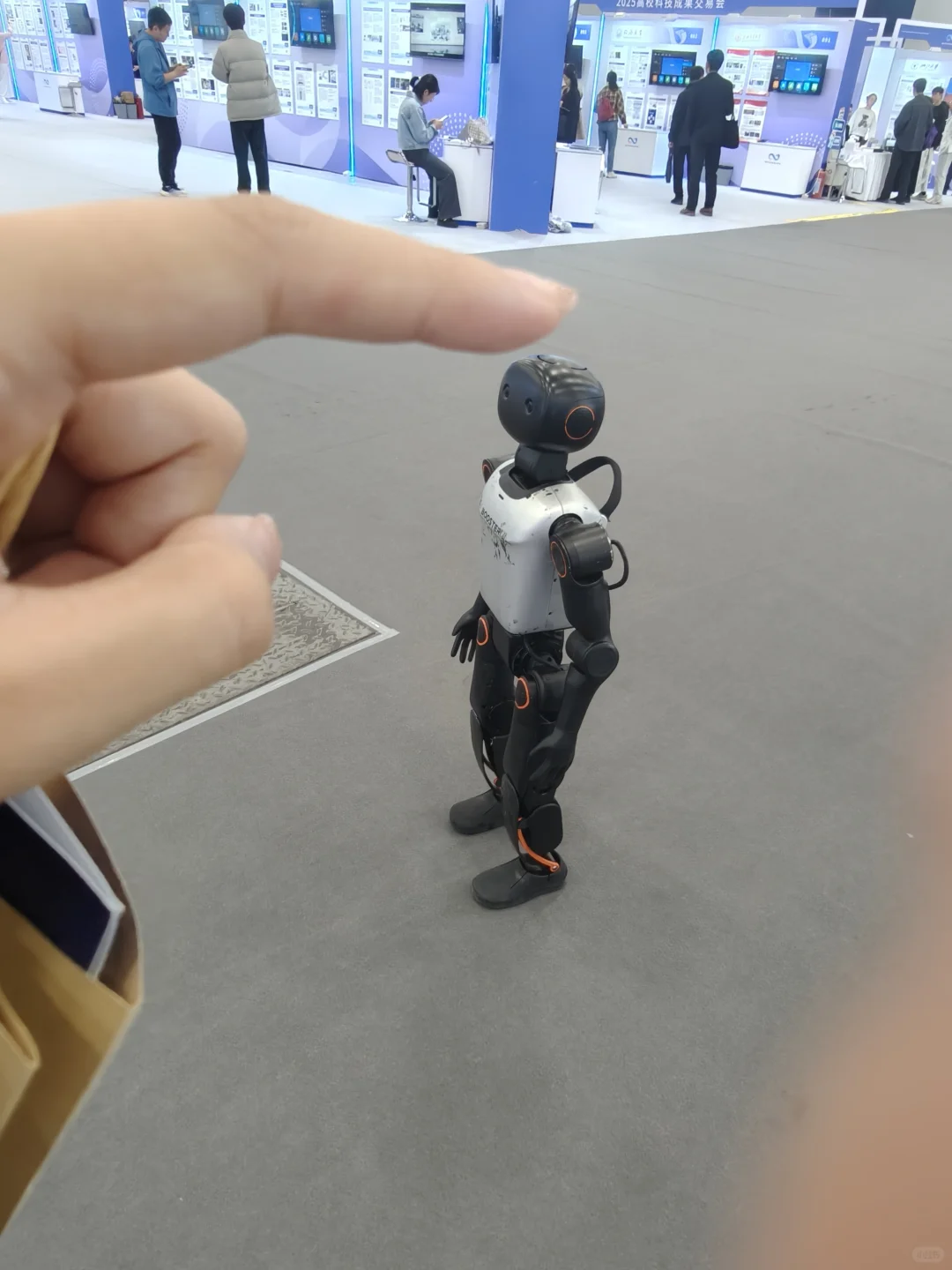 琶洲广交会展馆| 科交会