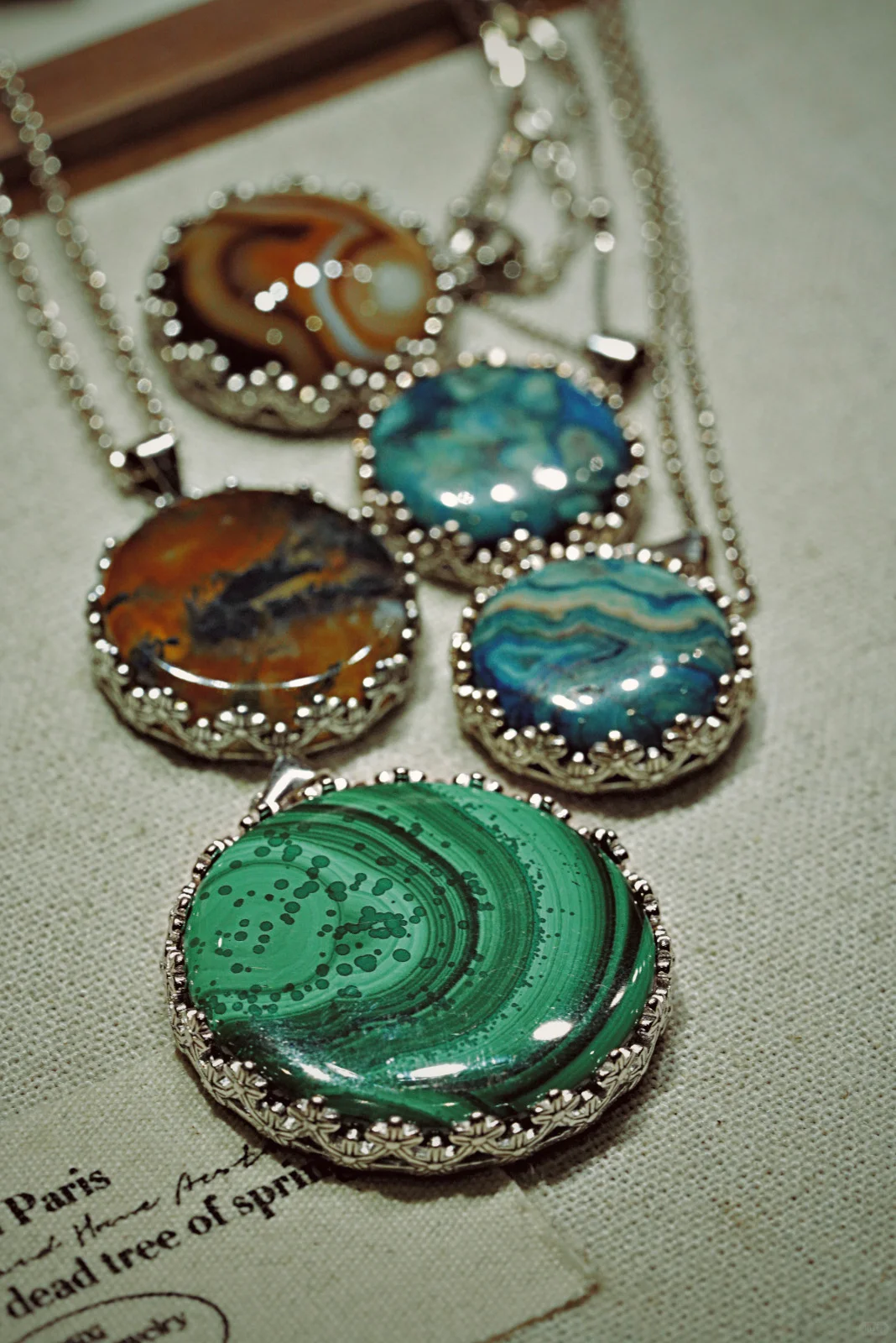 第二自然｜小进博最治愈的角落！?