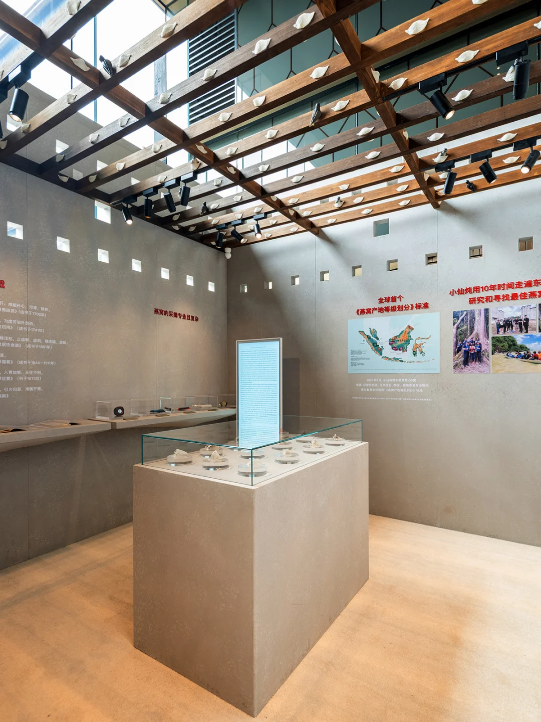 小仙炖「雨林珍宝」空降西安啦！速来打卡