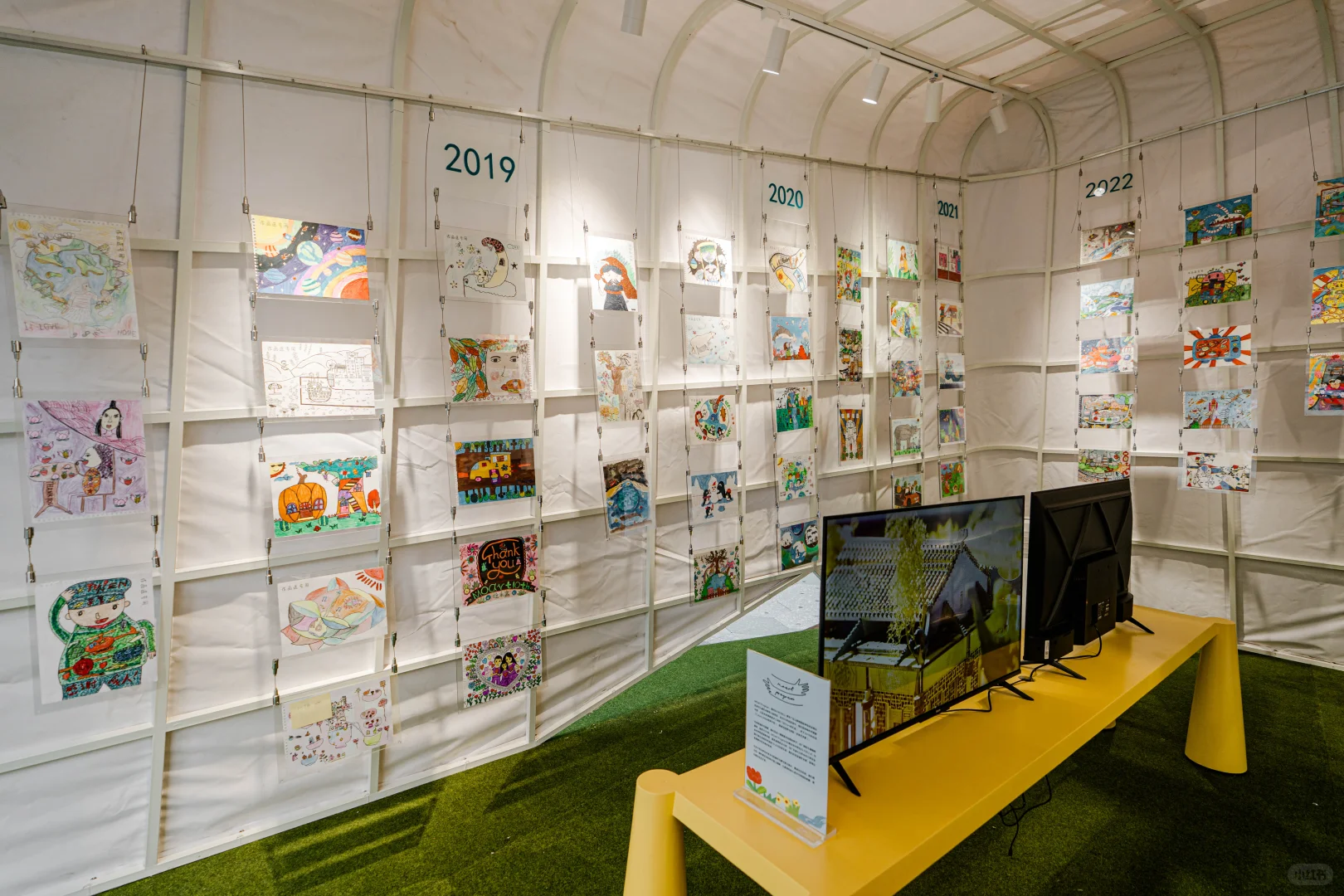 吹泡泡的大象，邀你打卡自然乐园